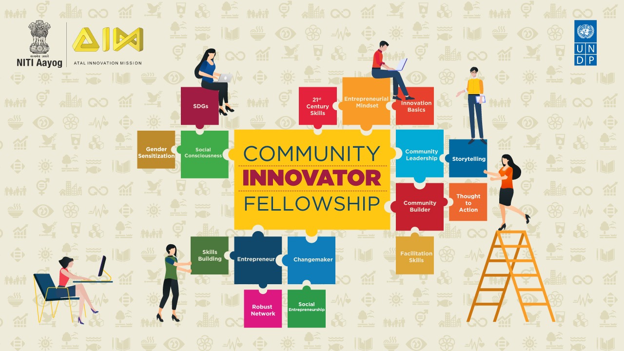 The Community Innovator Fellowship Program